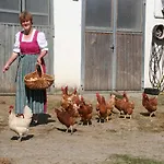 Kirmeier Hof *