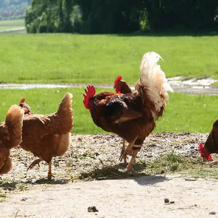 Kirmeier Hof Agroturismo