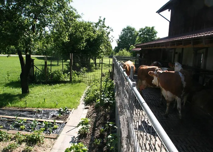 Farm stay Kirmeier Hof Bad Endorf